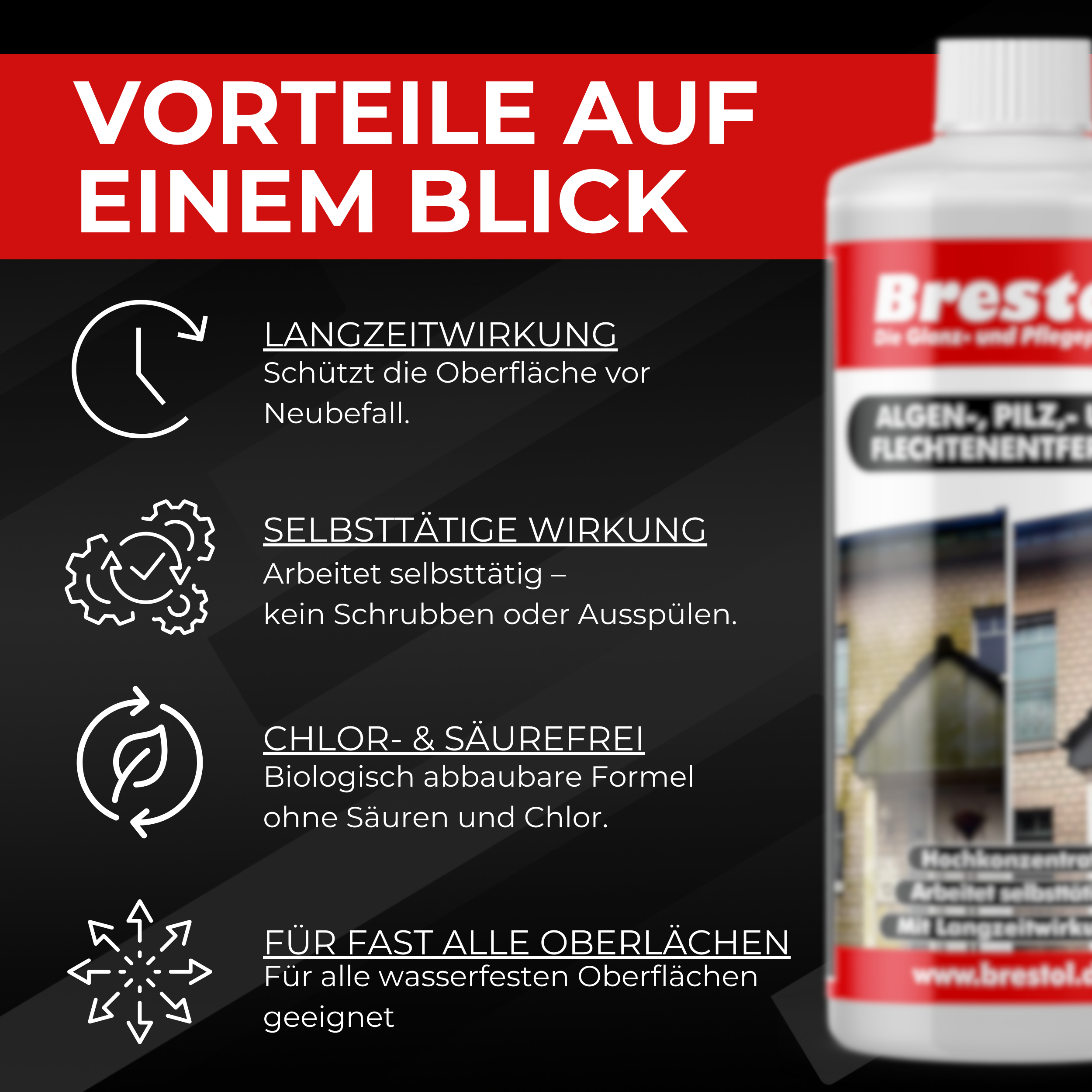 Algenentferner Flechtenentferner 1 Liter Infobild 1 Brestol