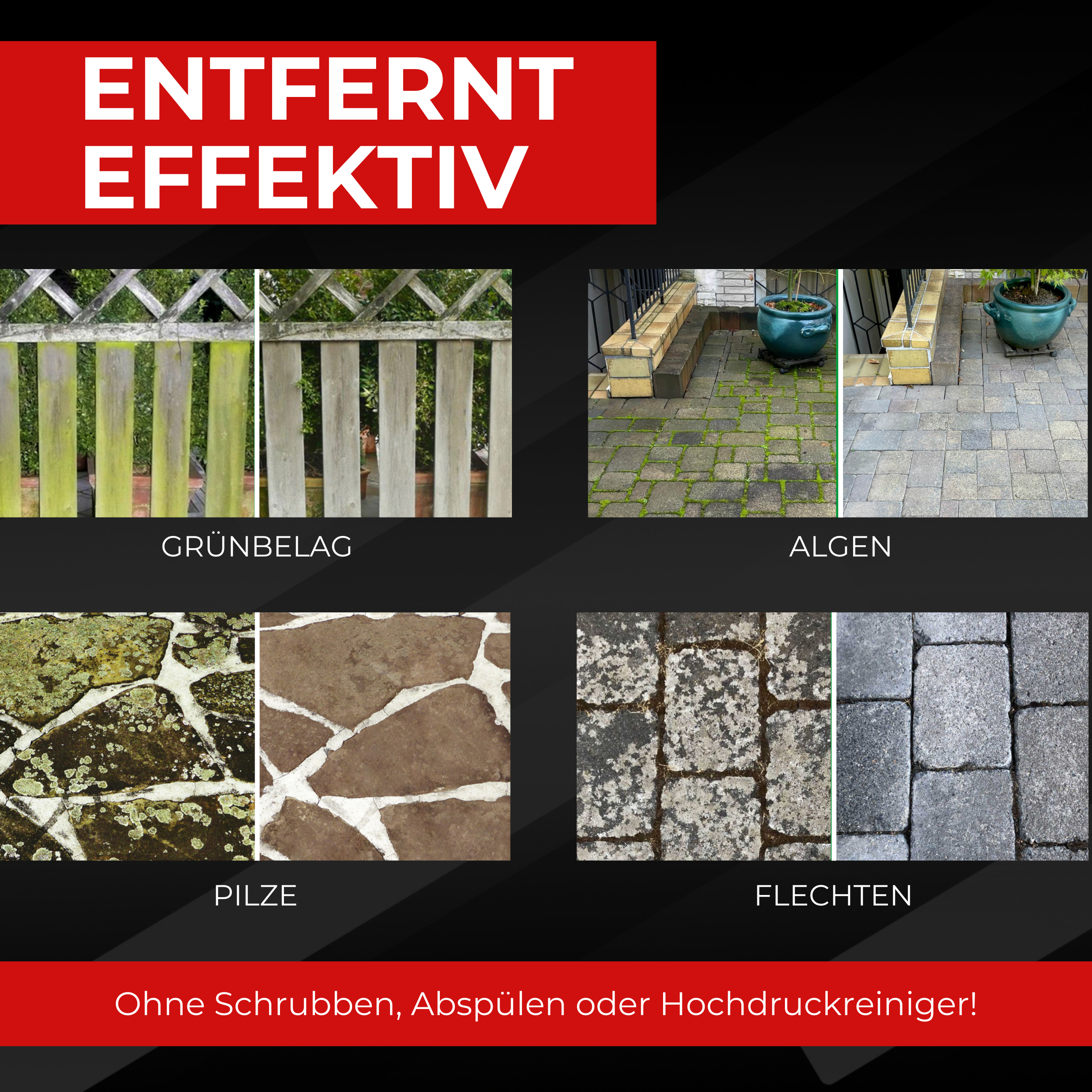 Algenentferner Flechtenentferner Kanister Infobild 3 Brestol