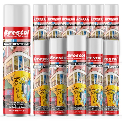 GRAFFITI ENTFERNER Spray 12x 400 ml